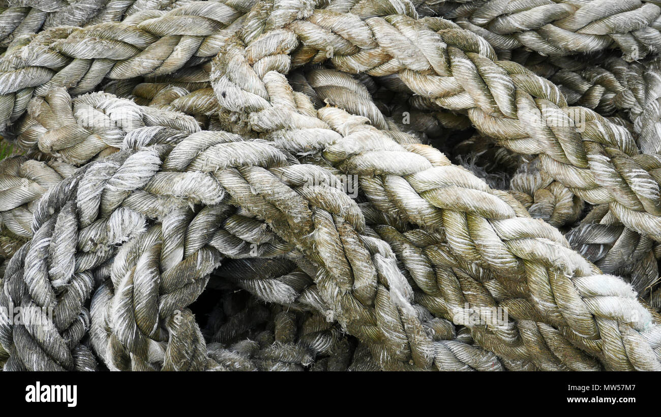 coils of old rope background Stock Photo