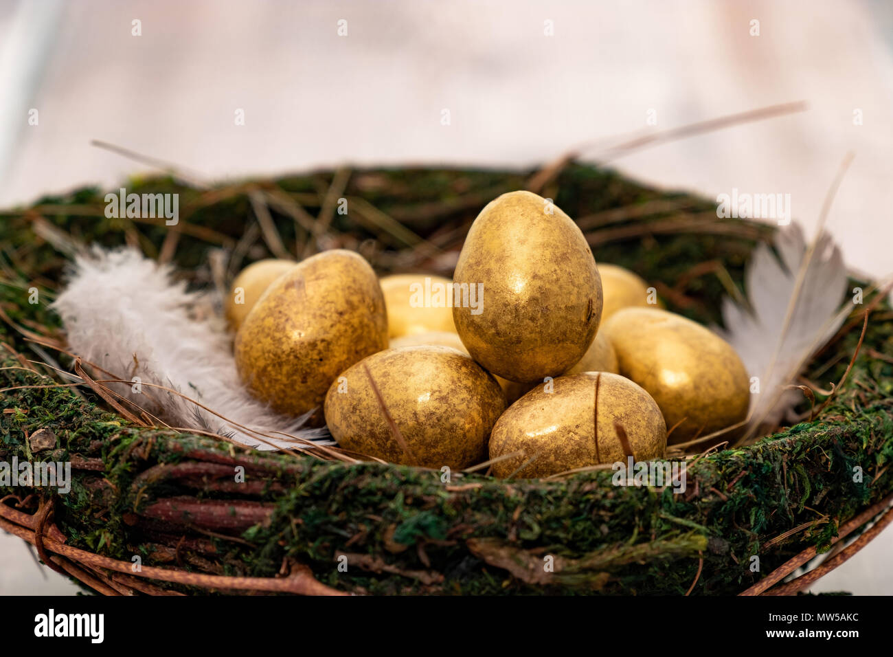Gold eggs in a bird’s nest - selective focus Stock Photo