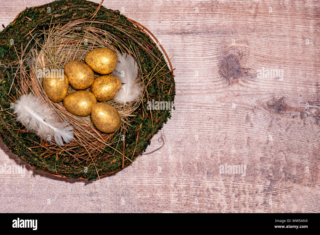 Gold eggs in a bird’s nest Stock Photo