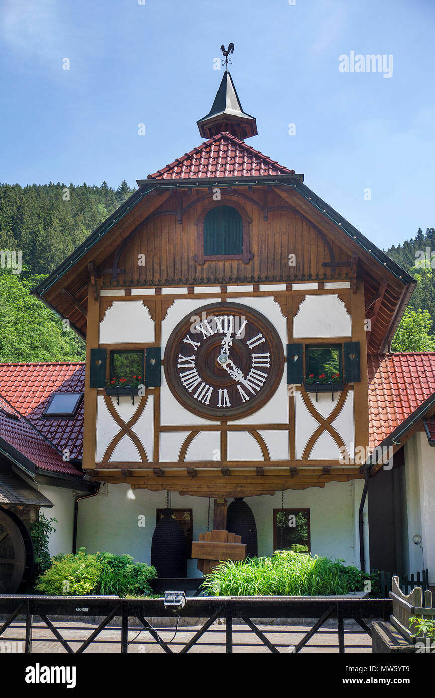 Black Forest Cuckoo Clock High Resolution Stock Photography and Images