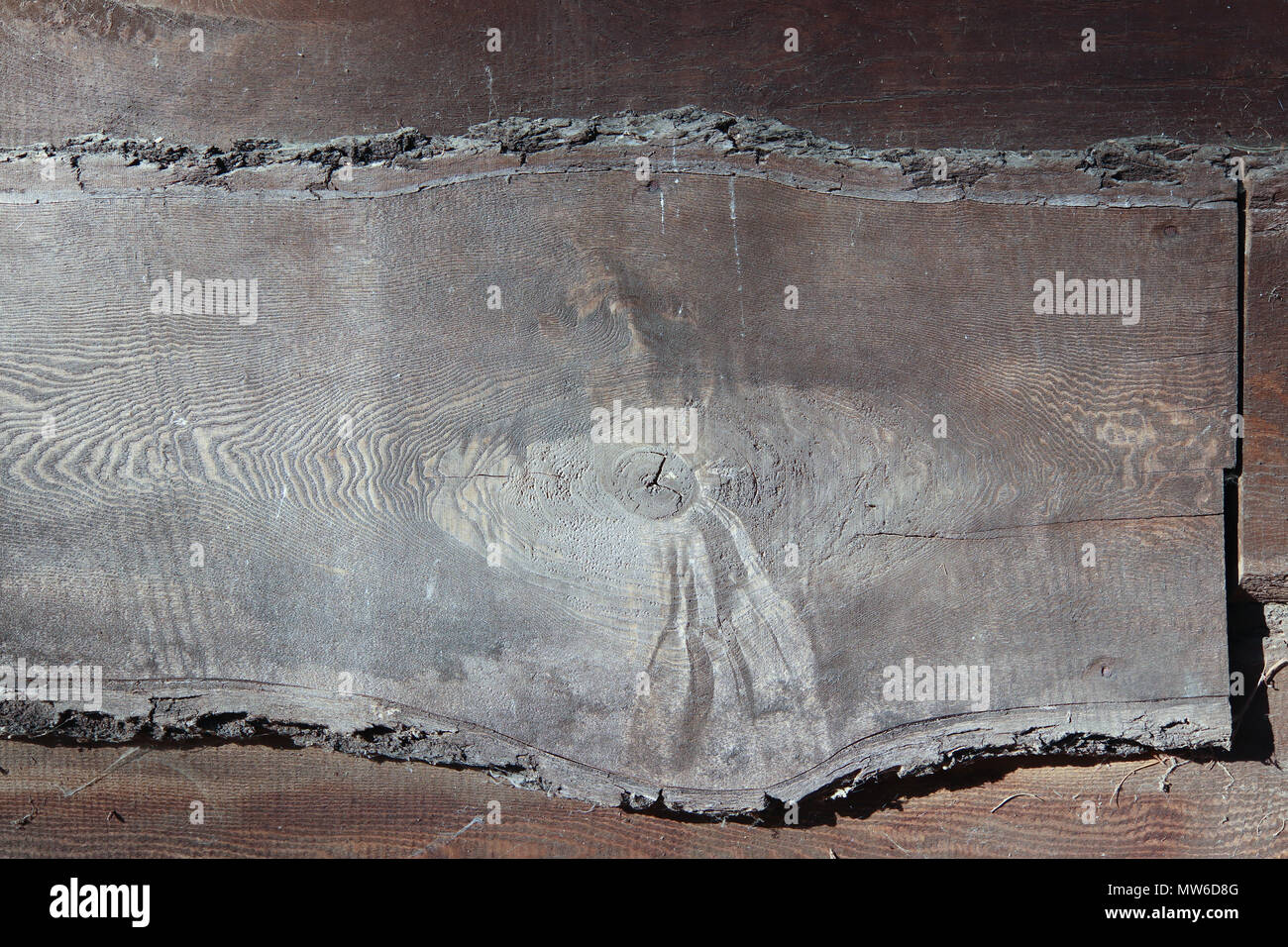 Old dirty plank - abstract wooden texure Stock Photo