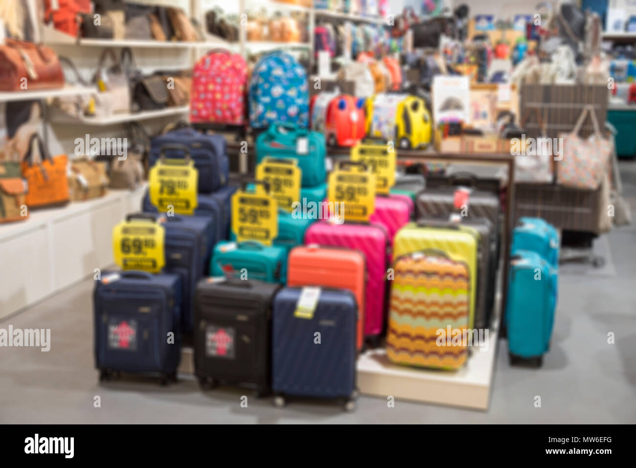 Suitcase Goyard - The Flea Market of Paris Saint-Ouen