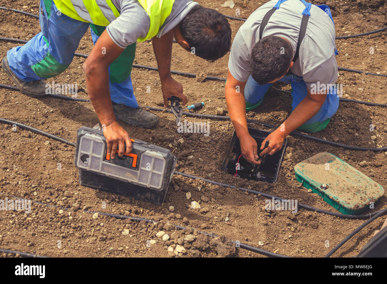 Garden workers installing irrigation control box for water plants with