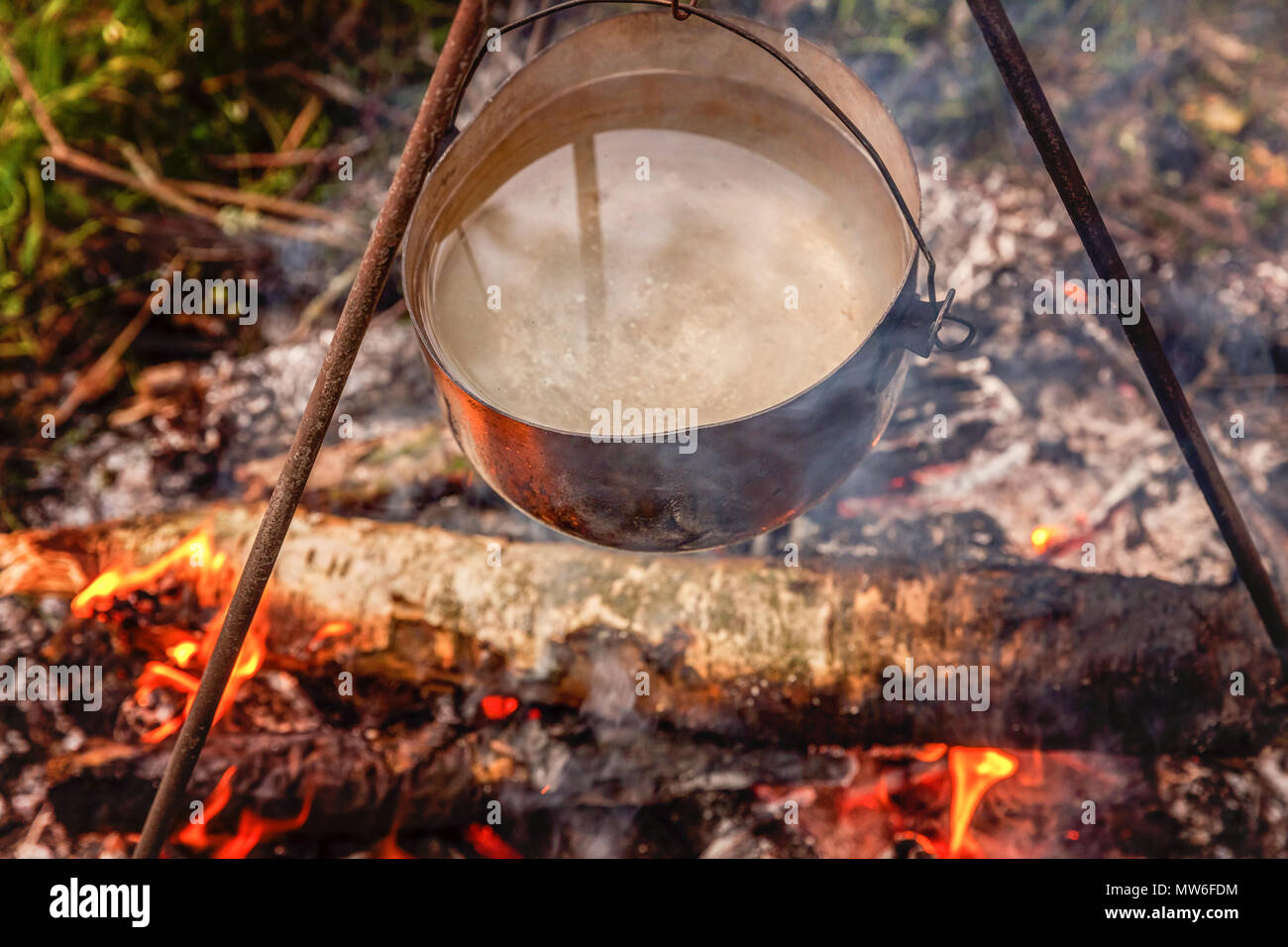 Cast iron pot cooks over open fire in a campsite in forest in sunny