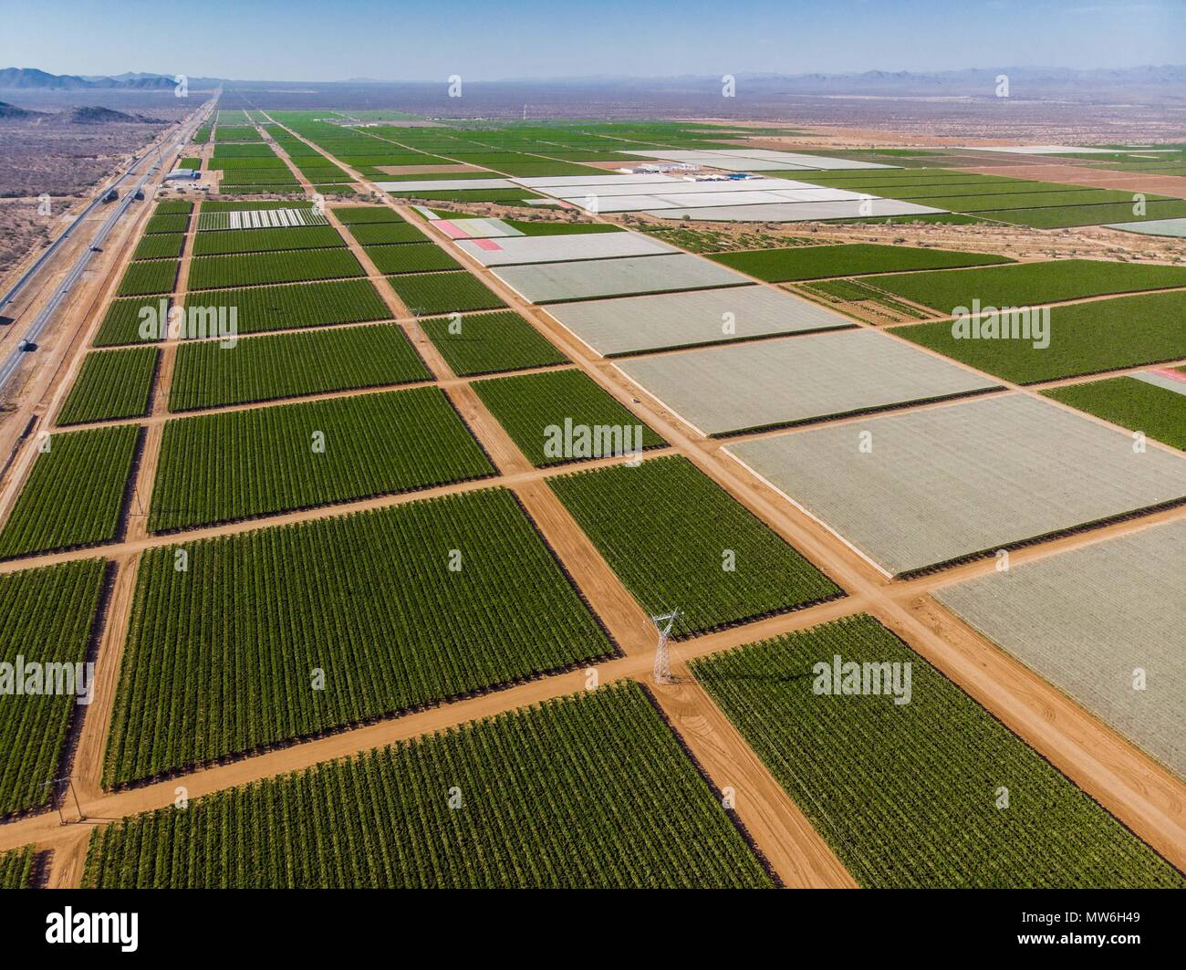 Aerial view of Viñedo in the community of Pesqueira, and Zamora in Sonora Mexico. Crops. Grape Fields, Hectares, Sowing, Vineyards. Grape. Stock Photo