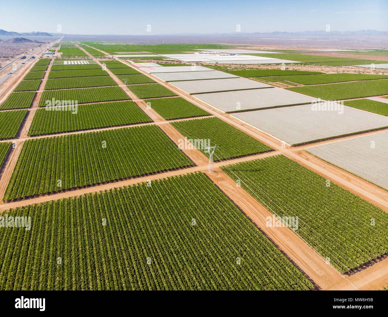 Aerial view of Viñedo in the community of Pesqueira, and Zamora in Sonora Mexico. Crops. Grape Fields, Hectares, Sowing, Vineyards. Grape. Stock Photo