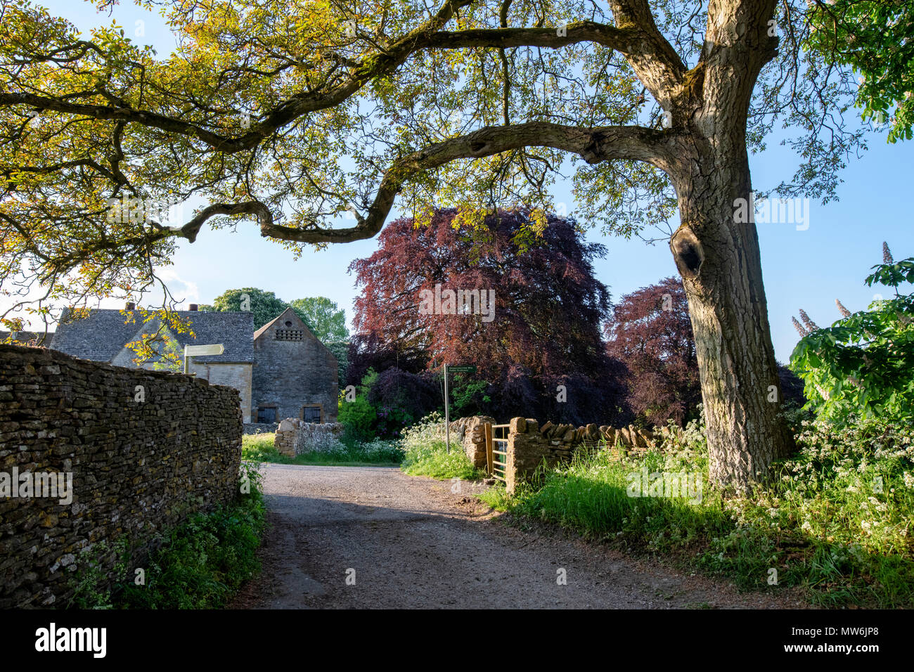 Evening spring sunlight in the cotswold village of Notgrove. Notgrove Cotswolds, Gloucestershire, England Stock Photo