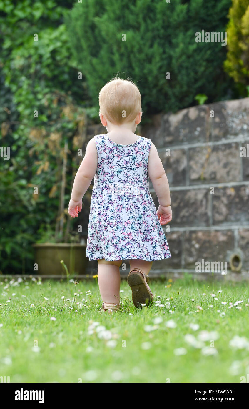 Beautiful Young baby girl toddler at 18 months old with short blonde hair walking away from camera in garden - model released Photograph taken by Simo Stock Photo