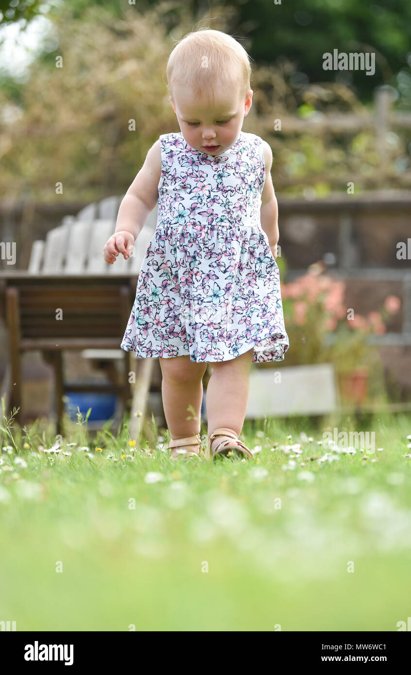 Beautiful Young baby girl toddler at 18 months old with short blonde hair walking in garden - model released Photograph taken by Simon Dack Stock Photo