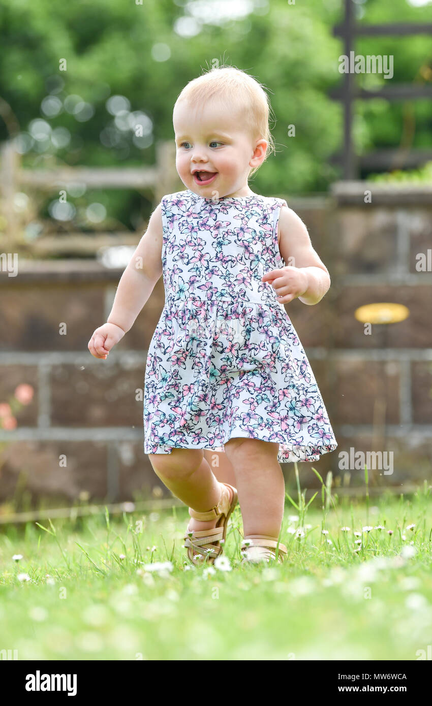 Beautiful Young baby girl toddler at 18 months old with short blonde hair walking in garden - model released Photograph taken by Simon Dack Stock Photo