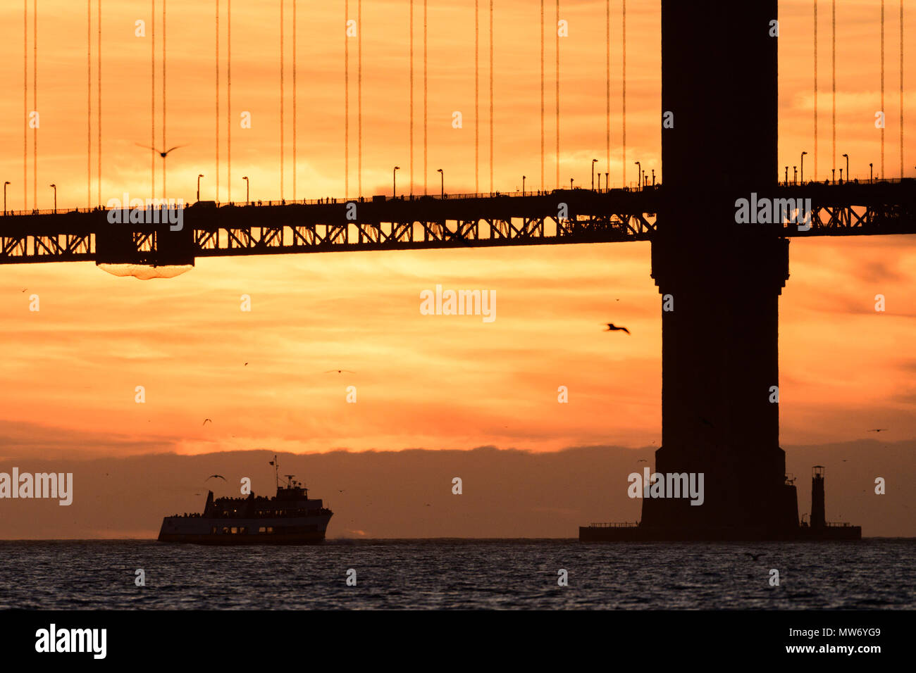 San Francisco Bay and Golden Gate bridge at sunset with ferry Stock ...