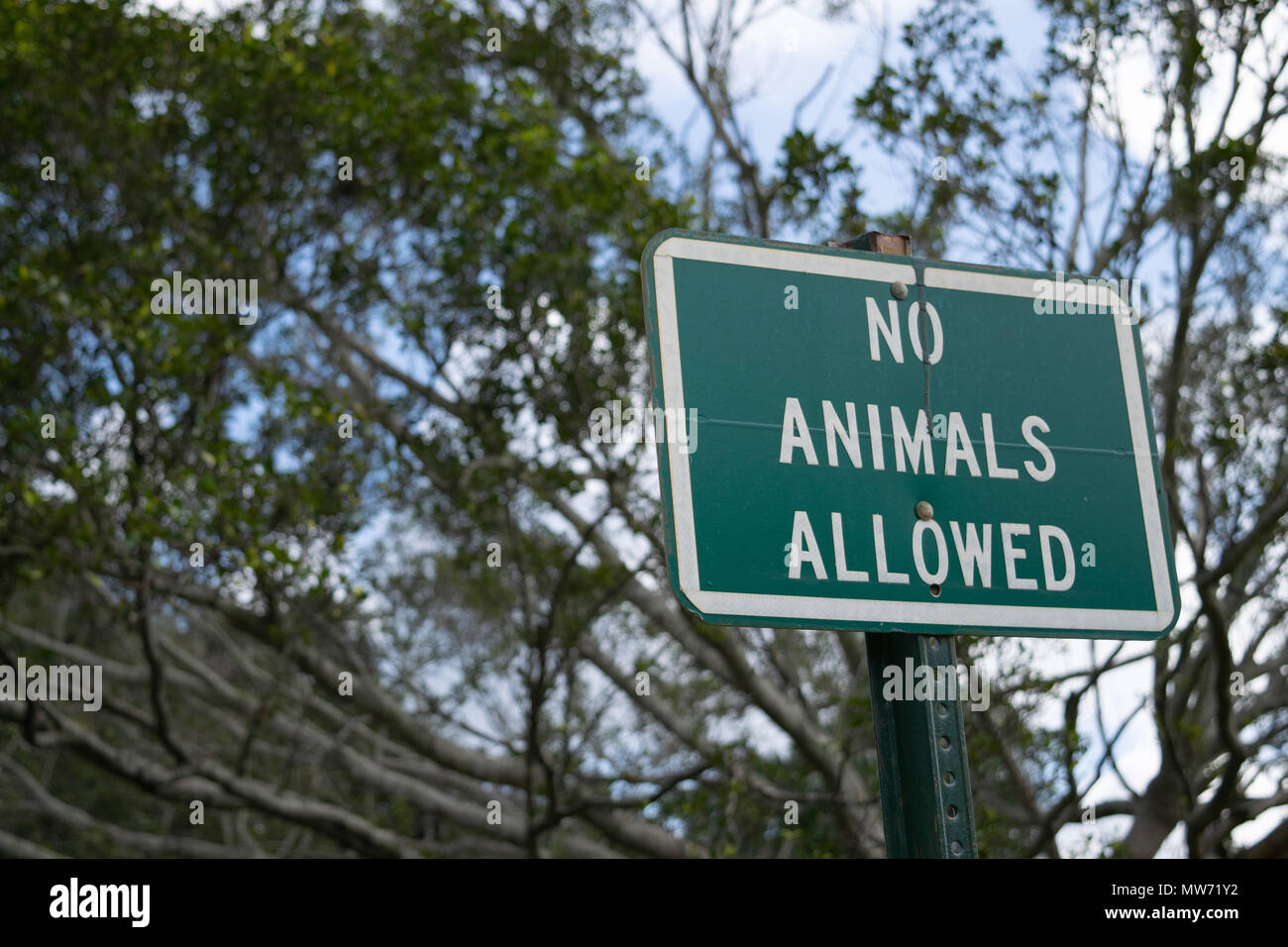 No Animals allowed sign in a park Stock Photo