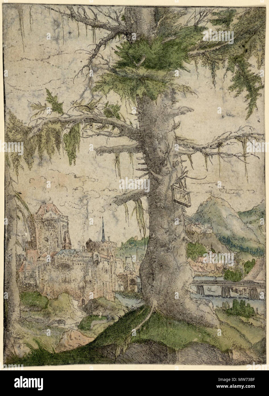 . English: Albrecht Altdorfer - Small Spruce (hand-coloured) Albertina DG1926-1778 . between 1517 and 1520.   Albrecht Altdorfer  (1480–1538)     Description German painter, draughtsman, engraver and architect  Date of birth/death circa 1480 12 February 1538  Location of birth/death Altdorf or Regensburg Regensburg  Work location Regensburg  Authority control  : Q153746 VIAF: 100221829 ISNI: 0000 0001 2145 2119 ULAN: 500031250 LCCN: n50053721 NLA: 35003981 WorldCat 33 Albrecht Altdorfer - Small Spruce (hand-coloured) Albertina DG1926-1778 Stock Photo