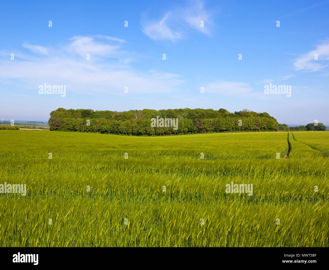 North dalton hires stock photography and images Alamy