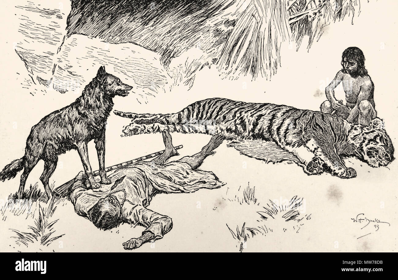 W. H. Drake, American Illustrator - from "The Jungle Book" by Rudyard  Kipling. London: MacMillan & Co., 1894. First edition Stock Photo - Alamy