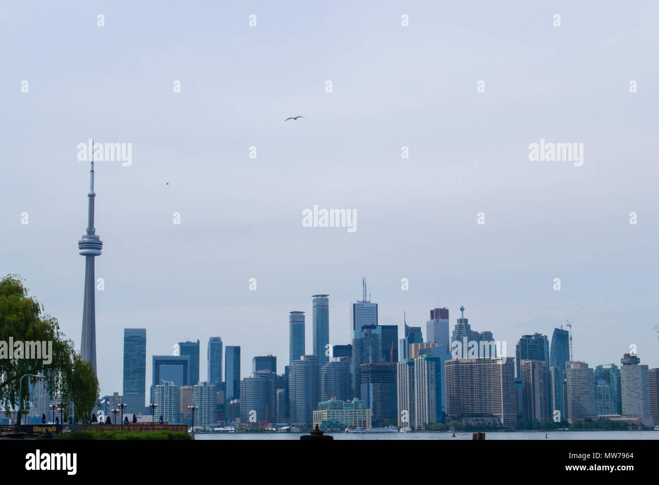 Explore city life and city vibe in Toronto Canada. From city markets to historic brick buildings, walk the districts of this urban city. Stock Photo