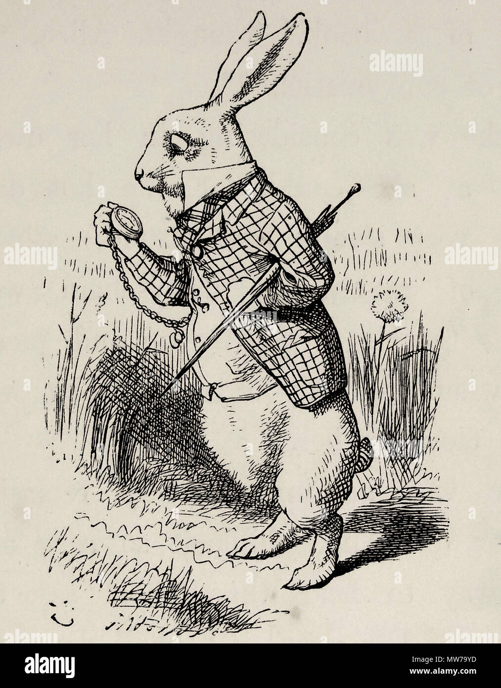 John Tenniel for 'Alice's Adventures in Wonderland' by Lewis Carroll (1866). First American Edition Stock Photo