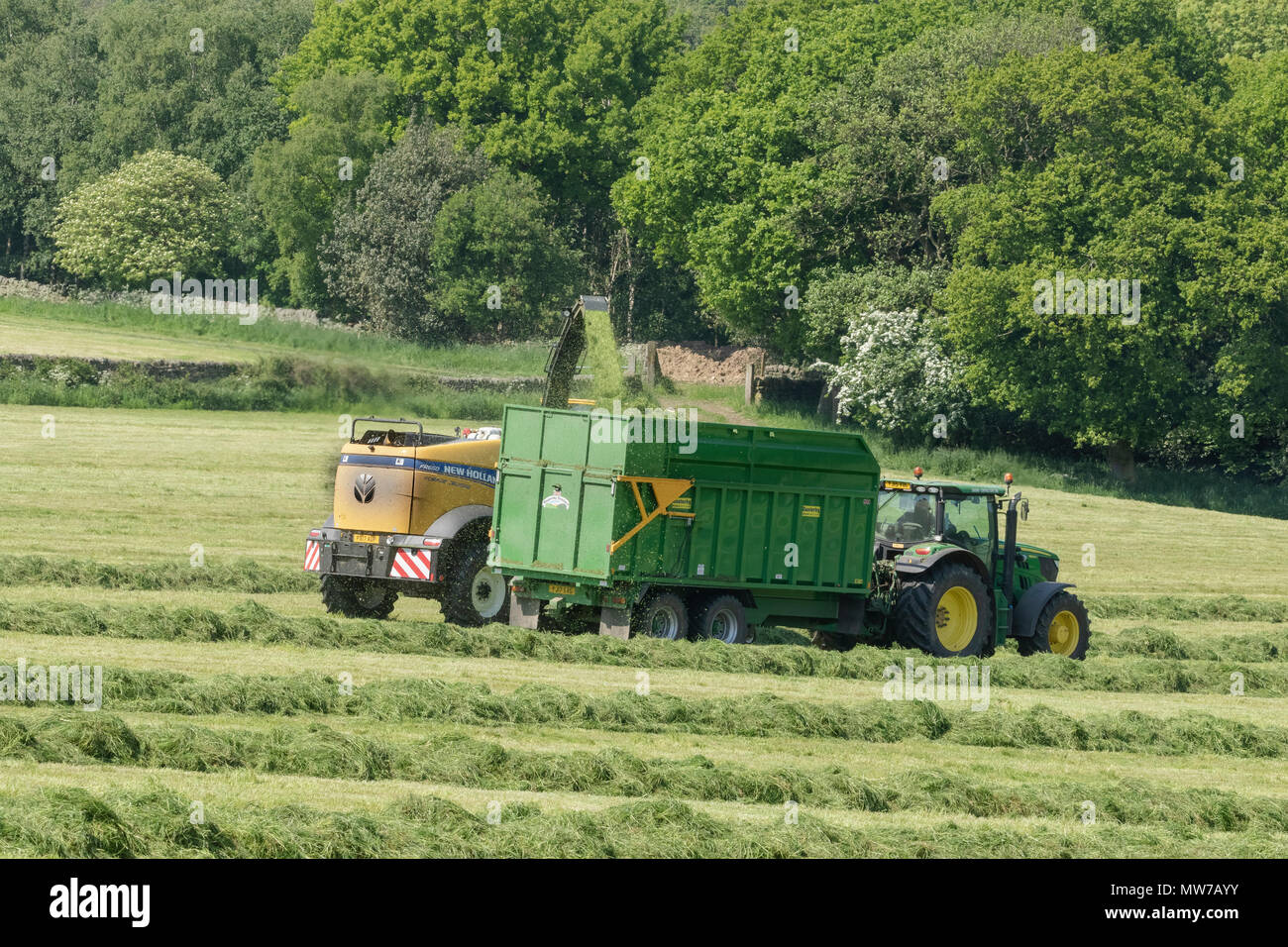 Harvesting grass for silage Stock Photo