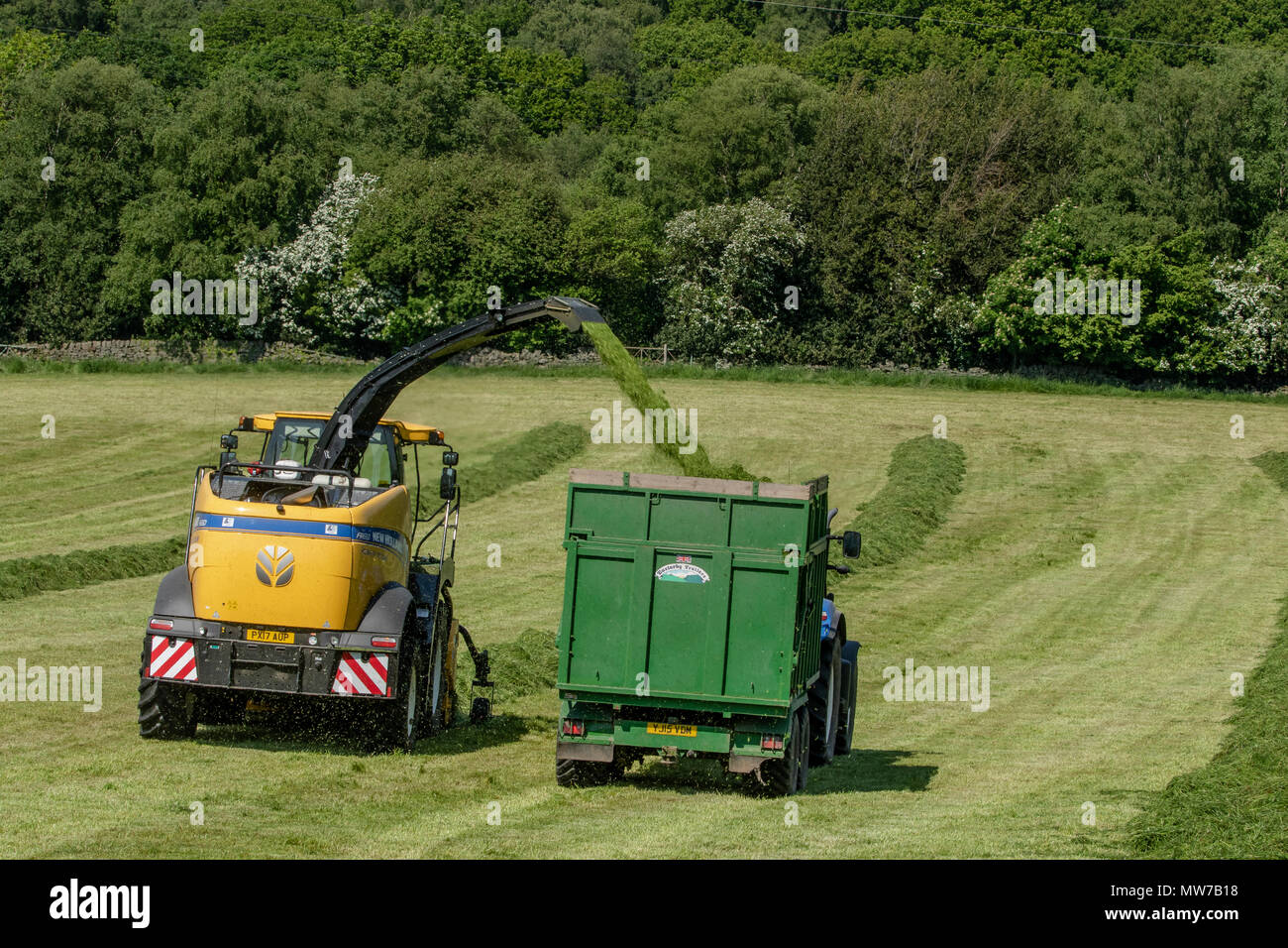 Harvesting grass for silage Stock Photo