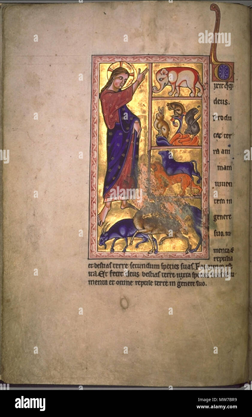 Illuminated manuscript bestiary hi-res stock photography and images - Alamy