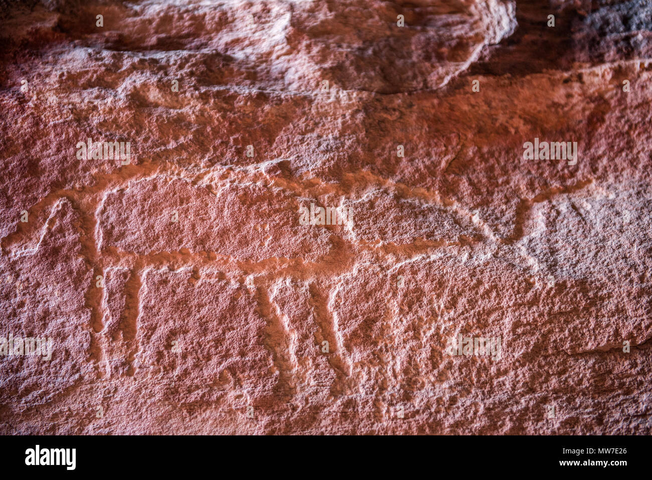 Ancient Nabatean and Thamudic inscriptions on rock representing camel caravan and humans. Khazali canyon, Wadi Rum desert, Jordan Stock Photo