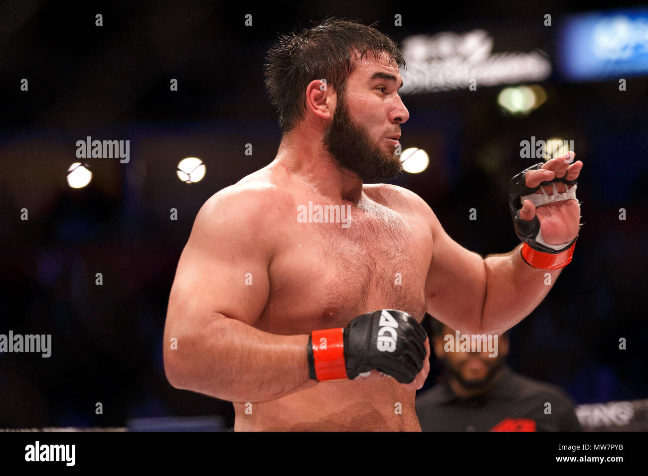 Acb mma hi-res stock photography and images - Alamy