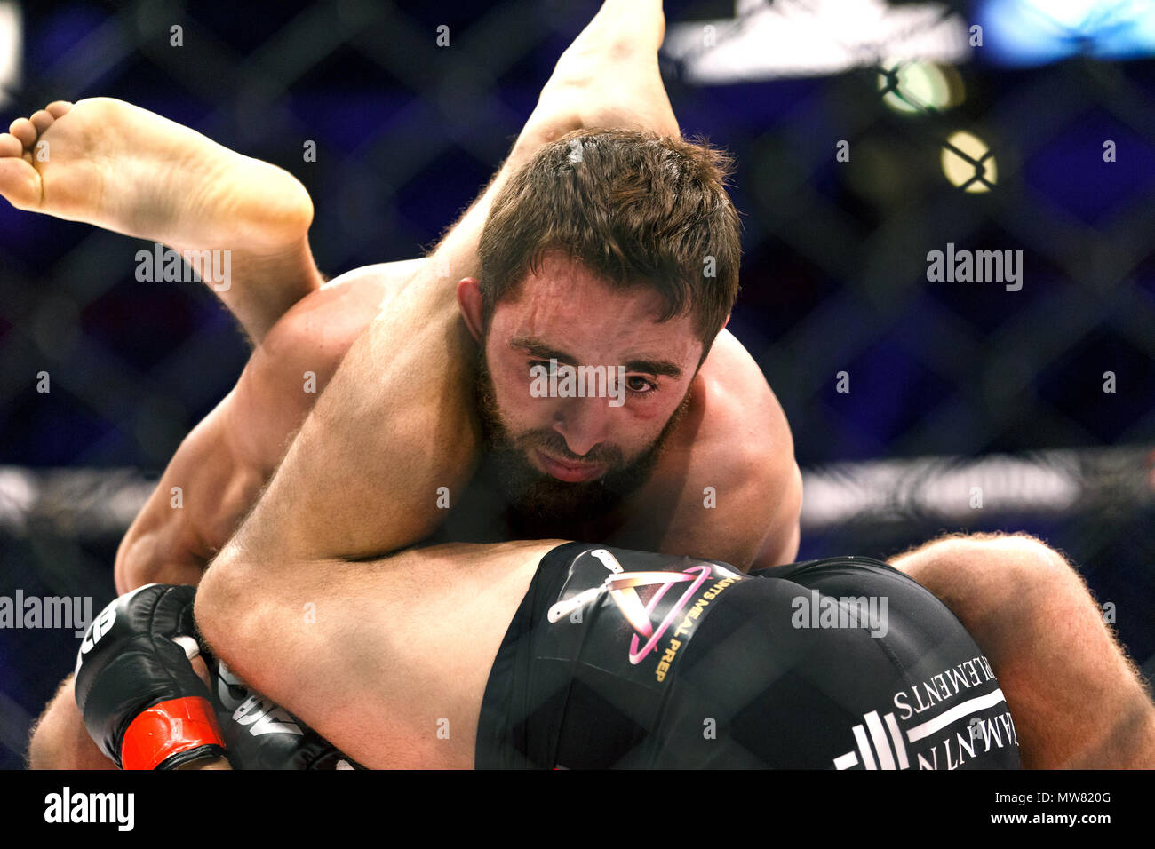 Amirkhan Adaev (top, facing camera) vs Joshua Aveles at ACB 54 in Manchester, UK. Absolute Championship Berkut, Mixed Martial Arts, MMA fight. Stock Photo
