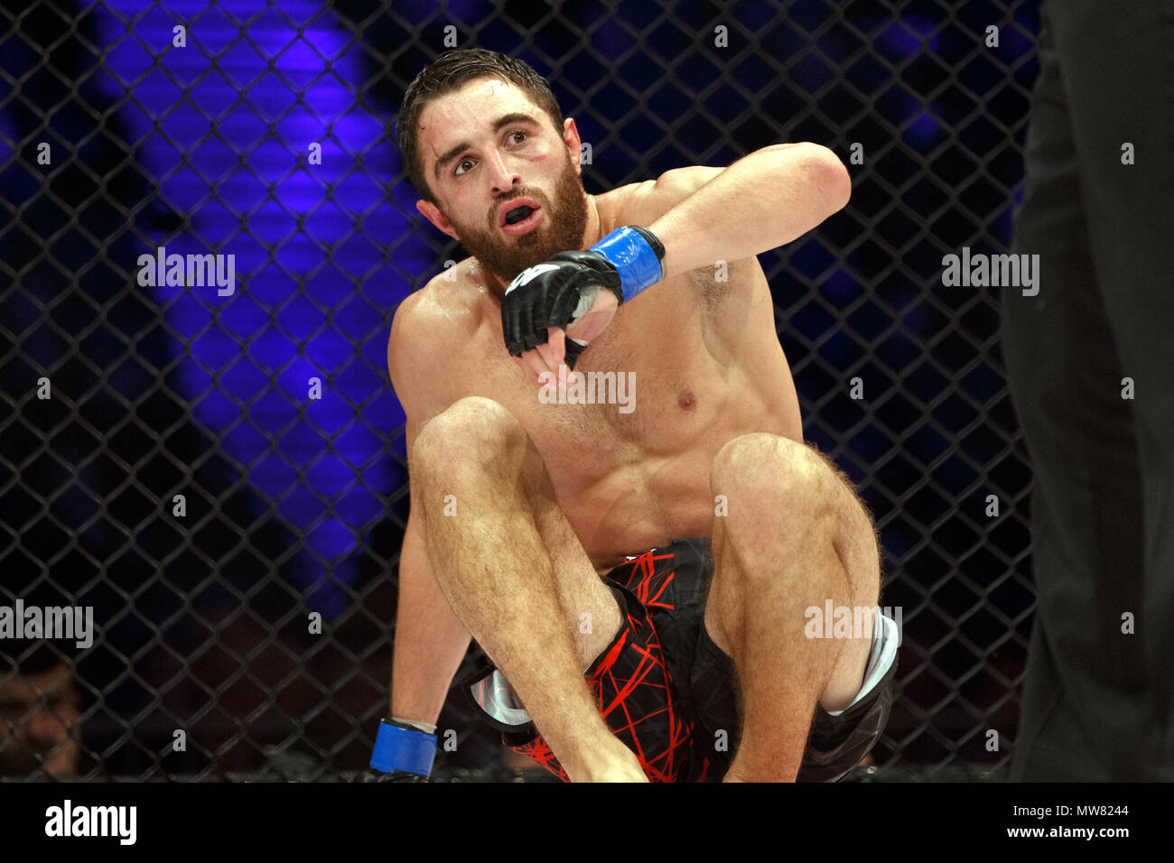 Amirkhan Adaev looks on surprised after being knocked to the ground during his fight with Joshua Aveles at ACB 54 in Manchester, UK. Aveles won by a split decision. Absolute Championship Berkut, Mixed Martial Arts, MMA fight. Stock Photo