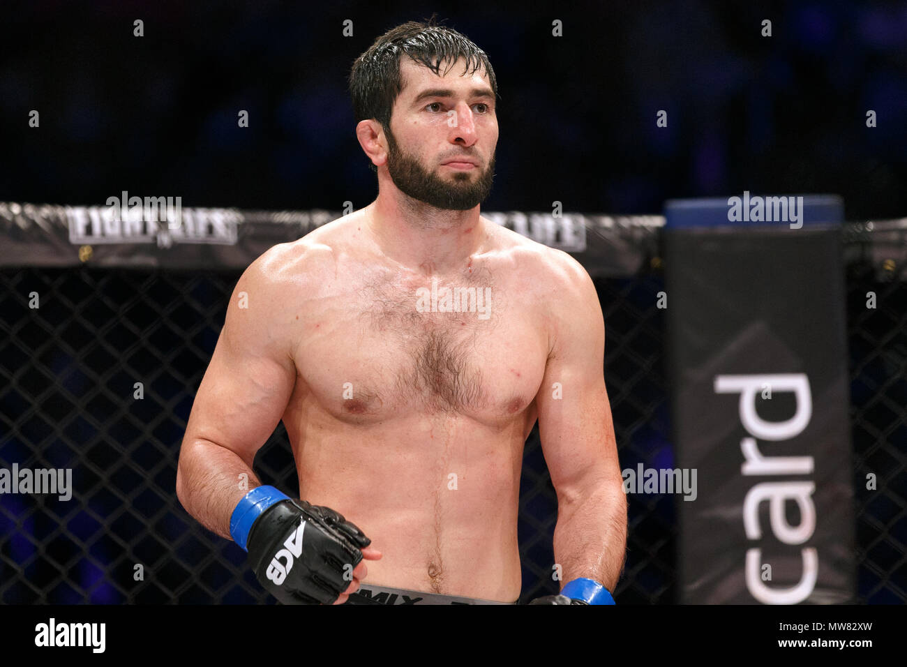 Mma fighter hi-res stock photography and images - Alamy
