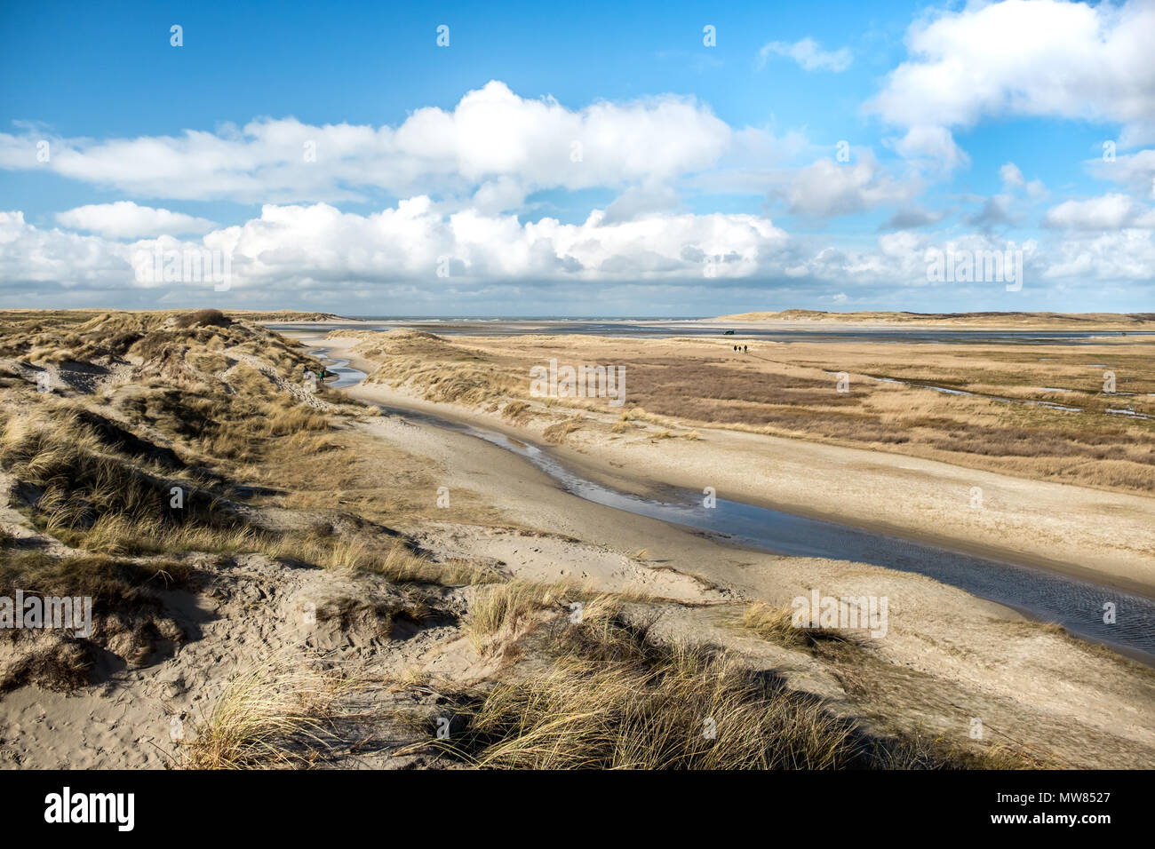 View on De Slufter, a nature reserve in Texel, the Netherlands. Stock Photo