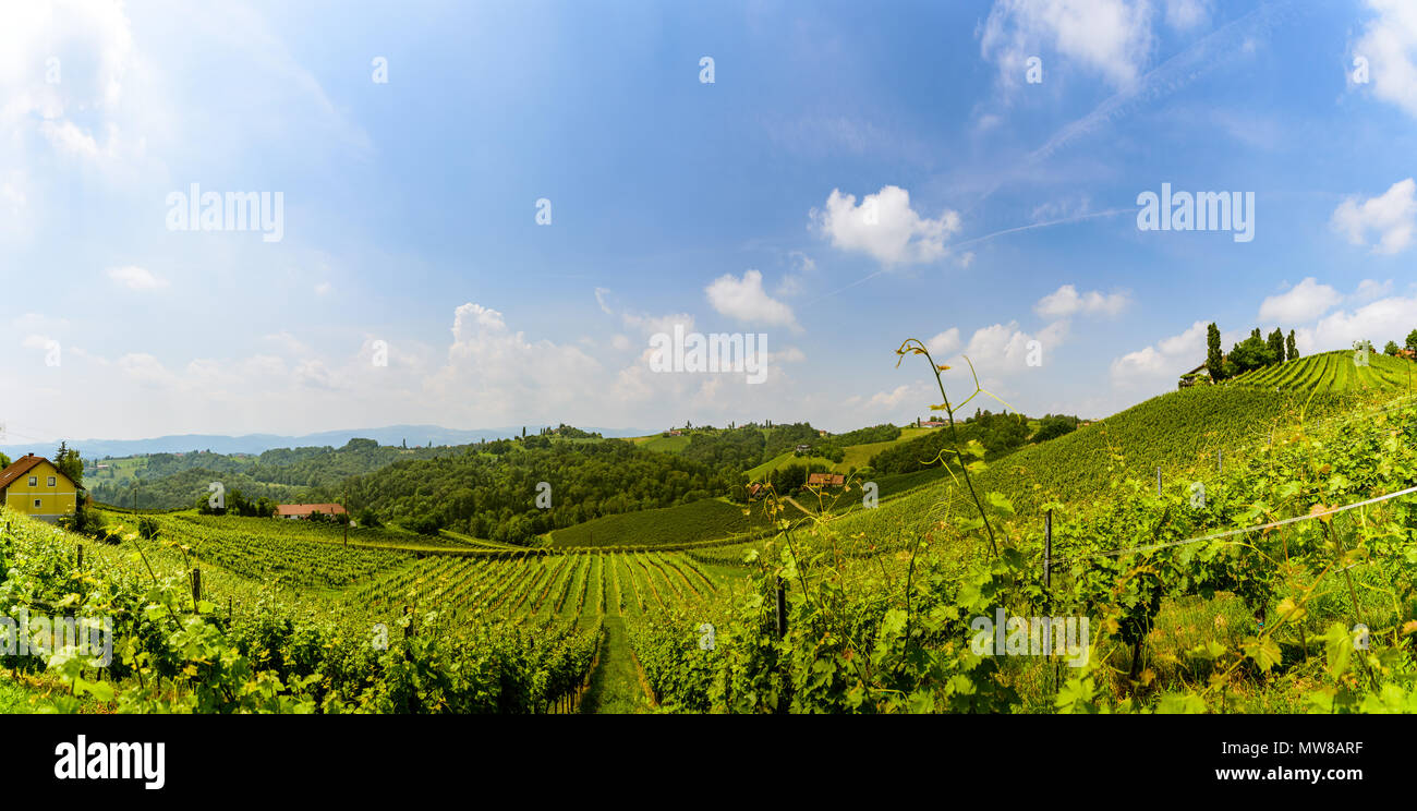 Austria Vineyards Sulztal weinstrasse south Styria tourist spot, wine country places to see Stock Photo