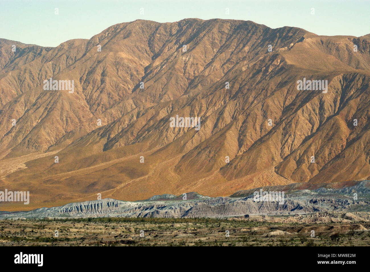 Razorback Ridges High Resolution Stock Photography and Images - Alamy