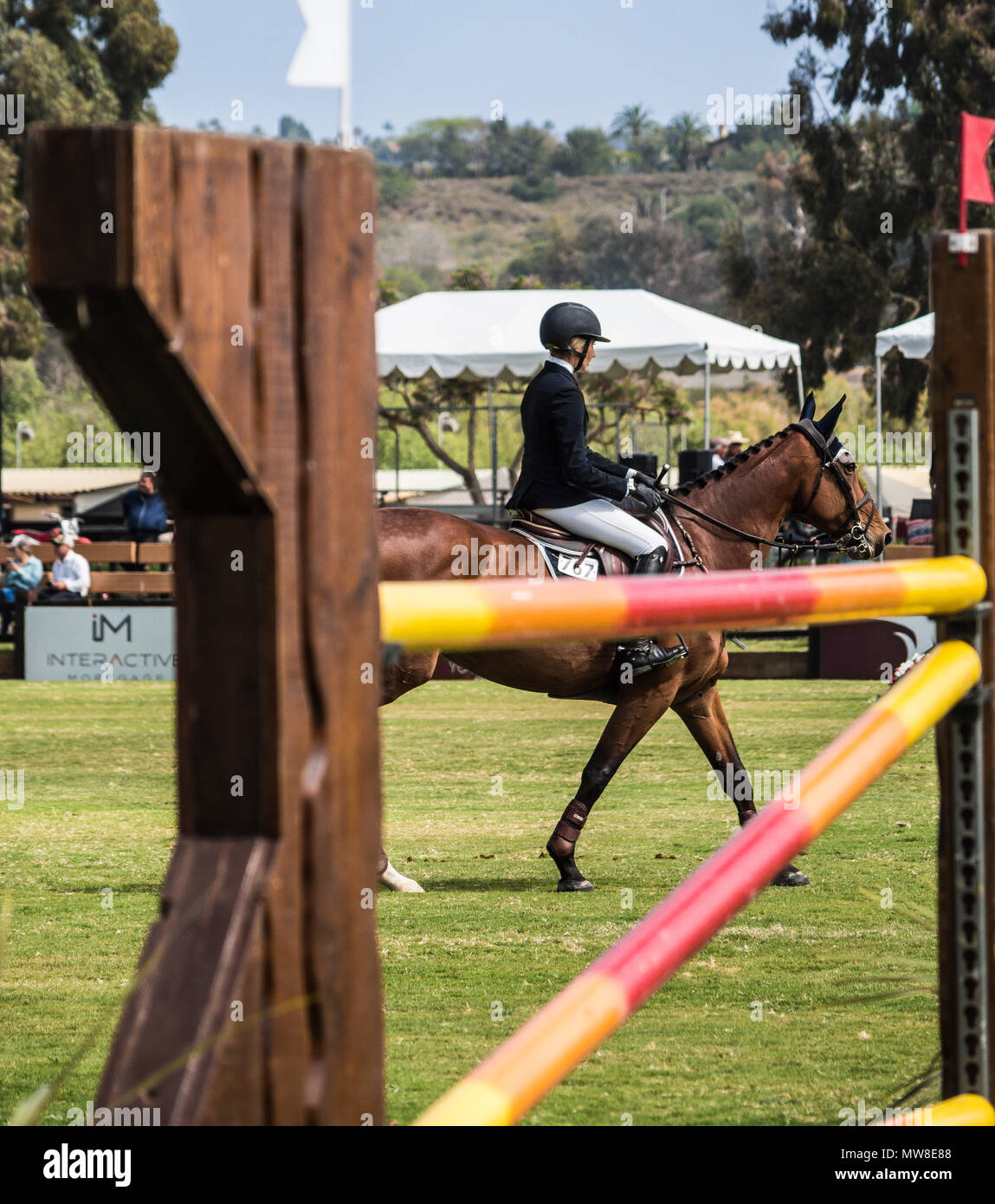 Blenheim Equisports Showpark Ranch & Coast Classic equestrian show