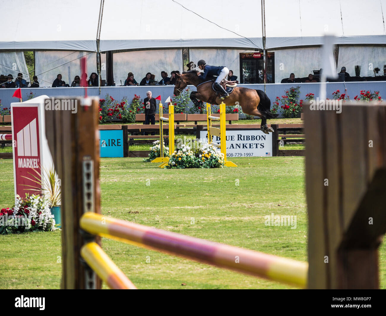 Blenheim Equisports Showpark Ranch & Coast Classic equestrian show