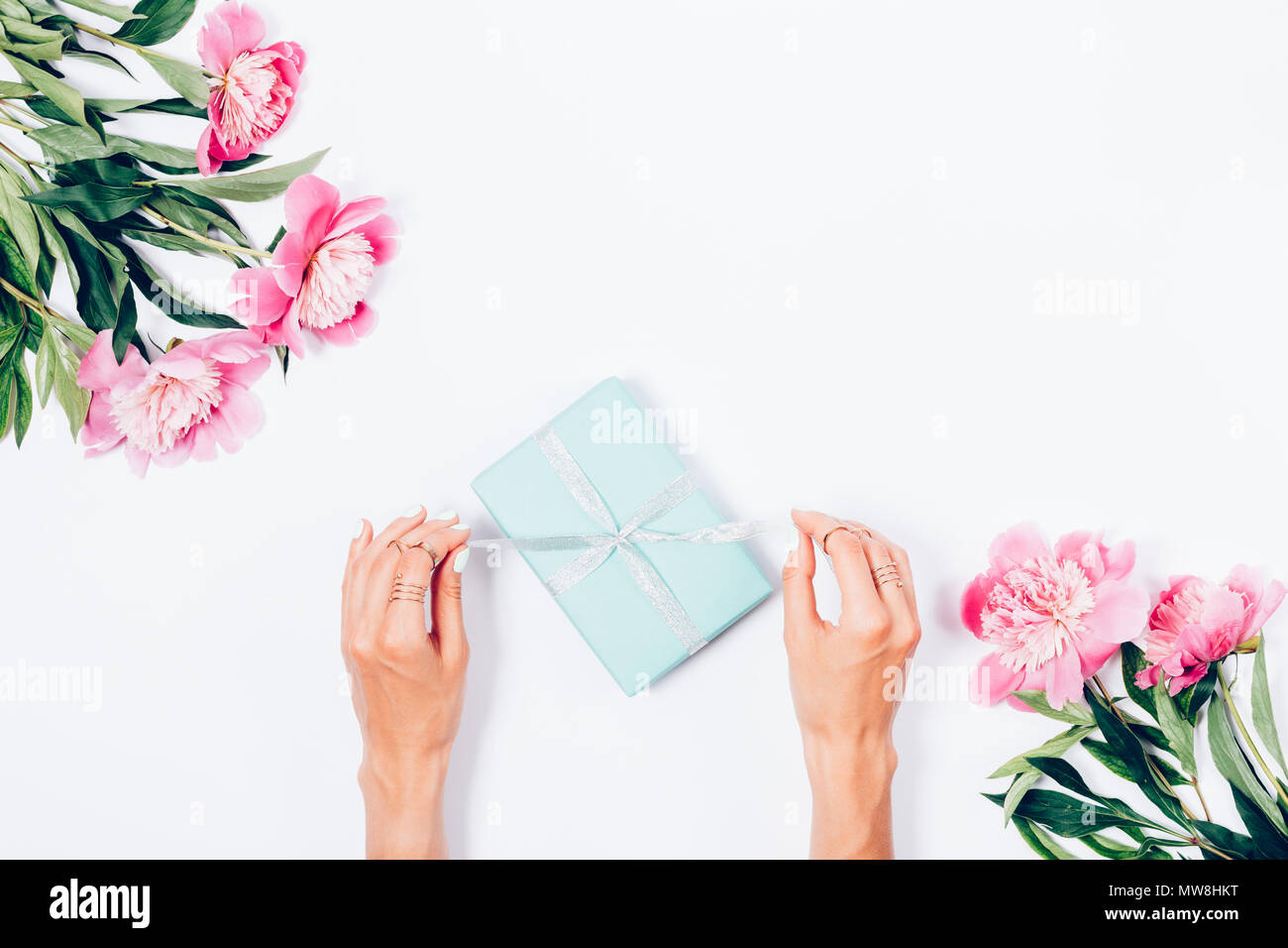 Woman opening her present, top view. Female's hands pull silver ribbon to unwrap blue gift box among the pink peony flowers, festive flat lay arrangem Stock Photo