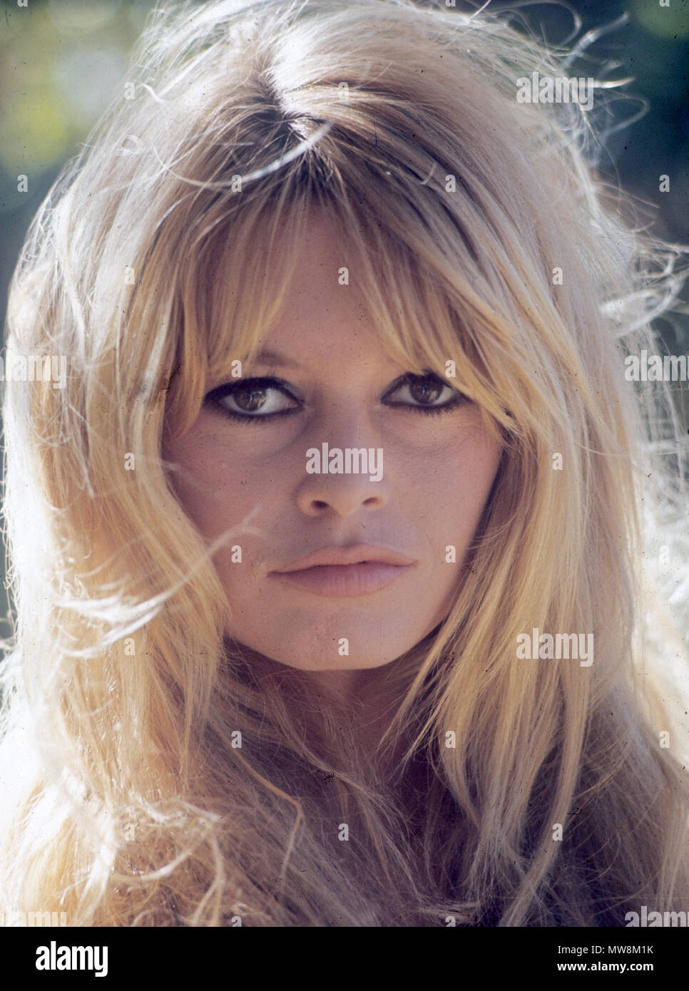 BRIGITTE BARDOT French film actress in 1965 while filming Viva Maria ...