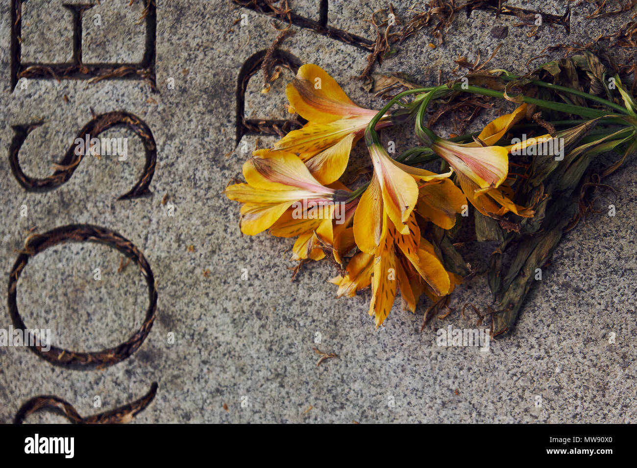 yellow flowers left on a grave Stock Photo Alamy