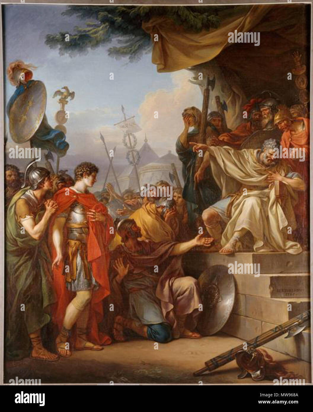 Manlius torquatus hires stock photography and images Alamy