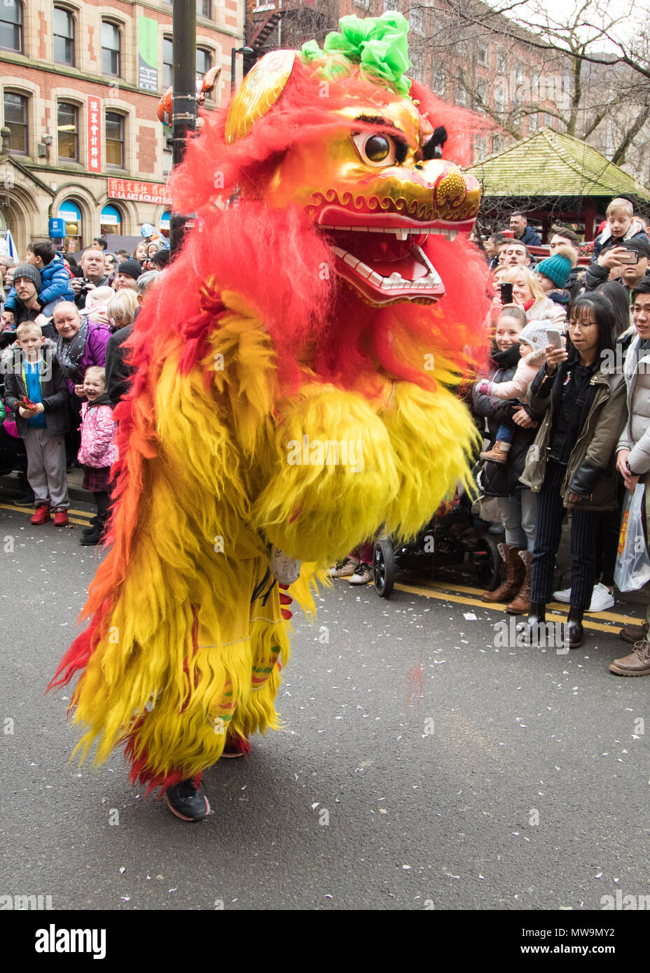 Chinese Lion performing the Lion Dance for Celebrations at the Chinese New Year in Manchester, United Kingdom Stock Photo