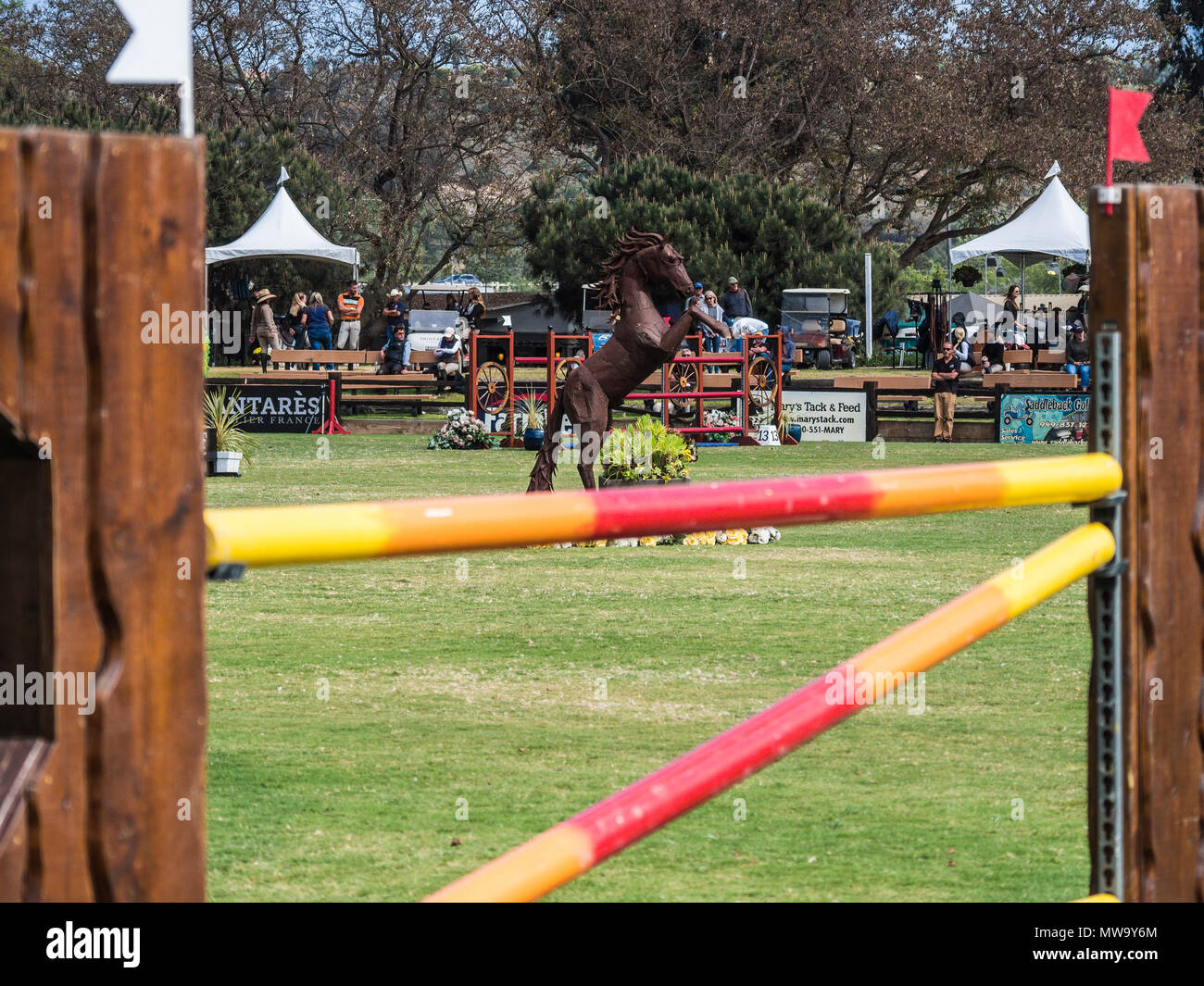 Blenheim Equisports Showpark Ranch & Coast Classic equestrian show jumping event, del mar horsepark, ca us Stock Photo