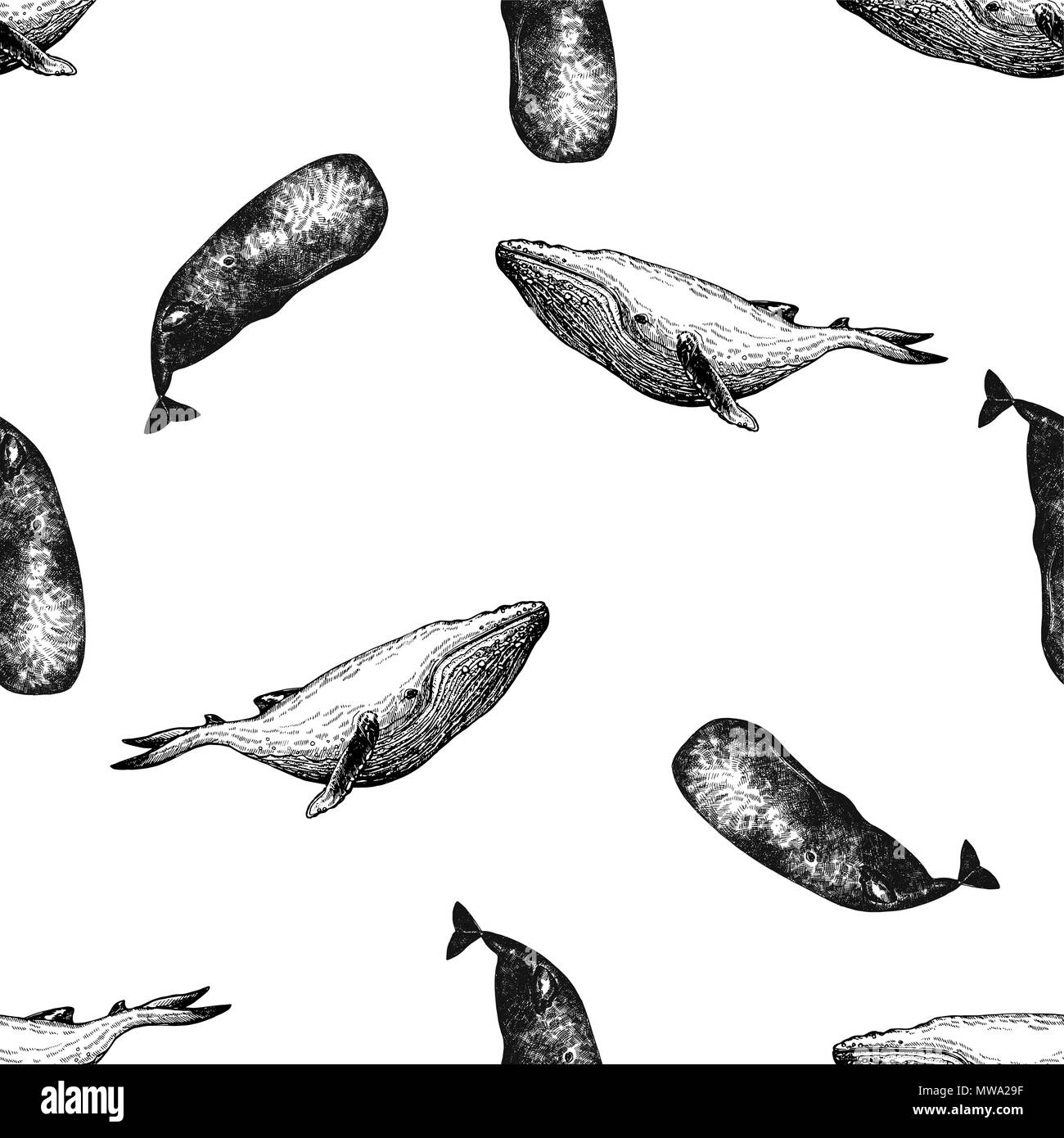 Seamless pattern of hand drawn sketch style whales isolated on white ...