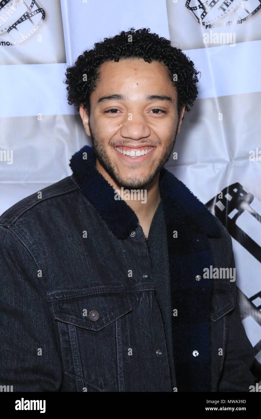 'Angry Insecure Men' film premiere in Los Angeles, United States ...