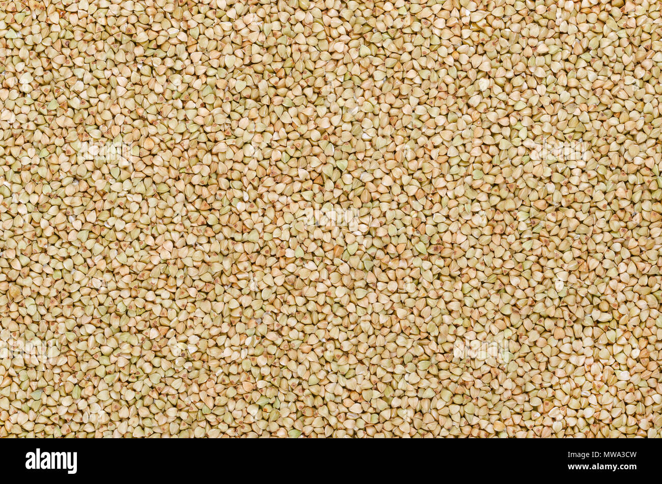 Hulled common buckwheat grains, surface and background. Gluten free pseudocereal. Fagopyrum esculentum, also known as Japanese or silverhull buckwheat Stock Photo