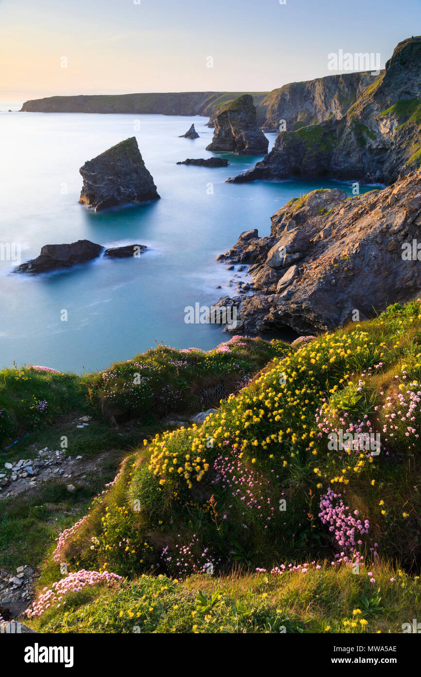 Bedruthan Steps Stock Photo Alamy