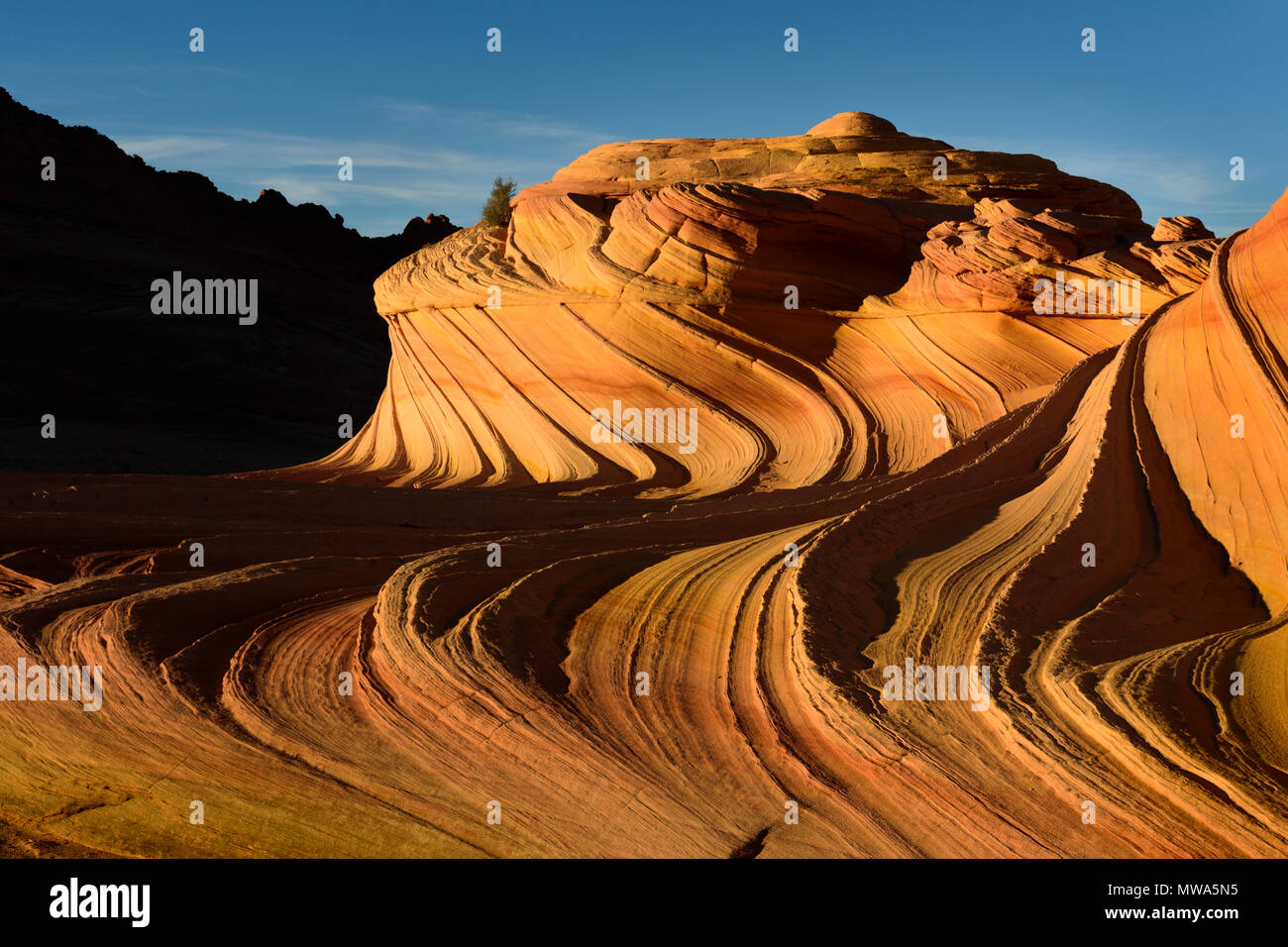 Last light on the 'Second Wave' in the Coyote Buttes North special permit area of the Vermillion Cliffs wilderness area on the border with Utah and Ar Stock Photo