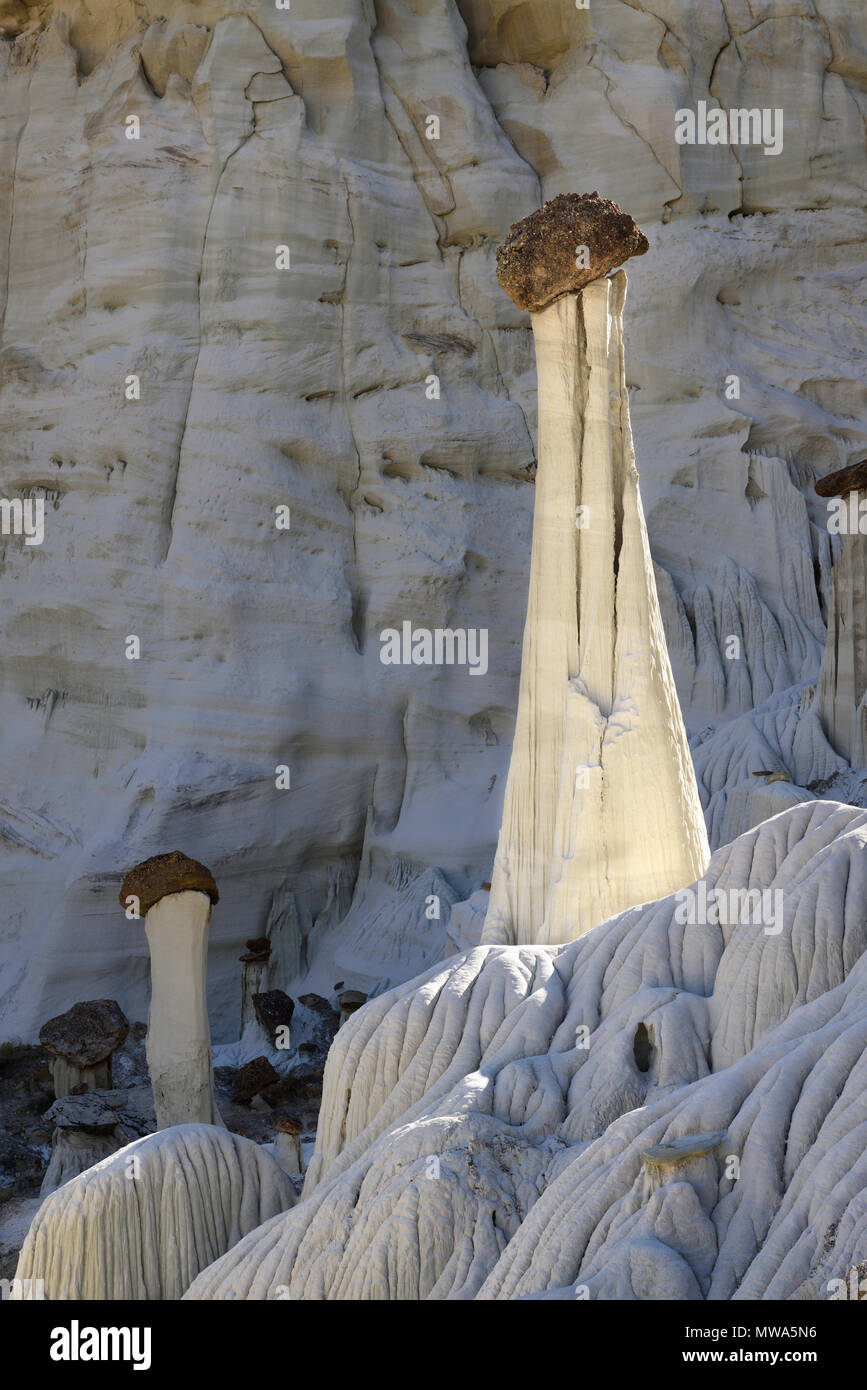 The famous Wahweap hoodoos in Grand Staircase Escalante National Monument. These black topped hoodoo's are some of the largest and most delicate hoodo Stock Photo