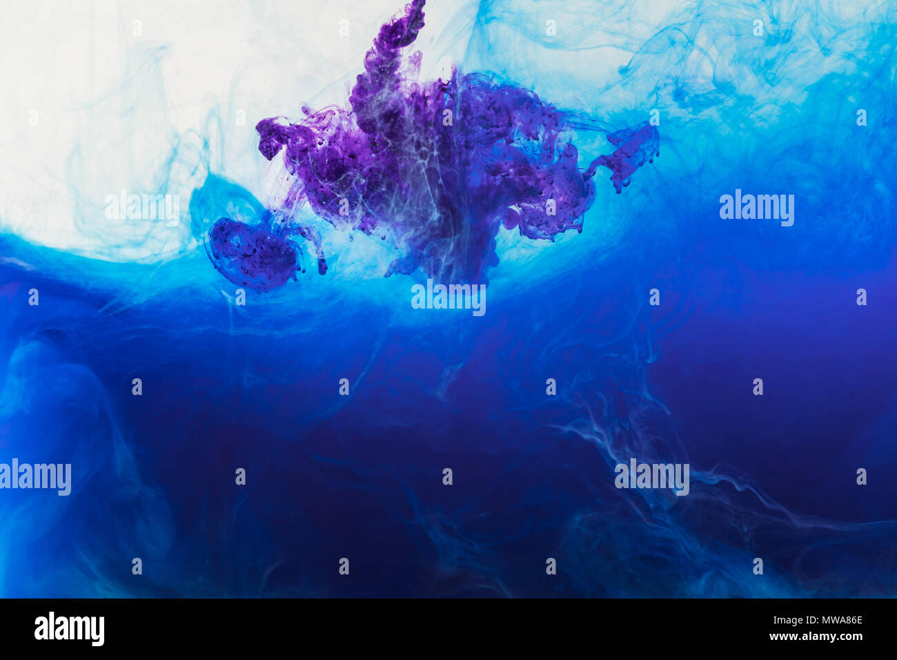 abstract background with blue and purple paint flowing in water Stock ...