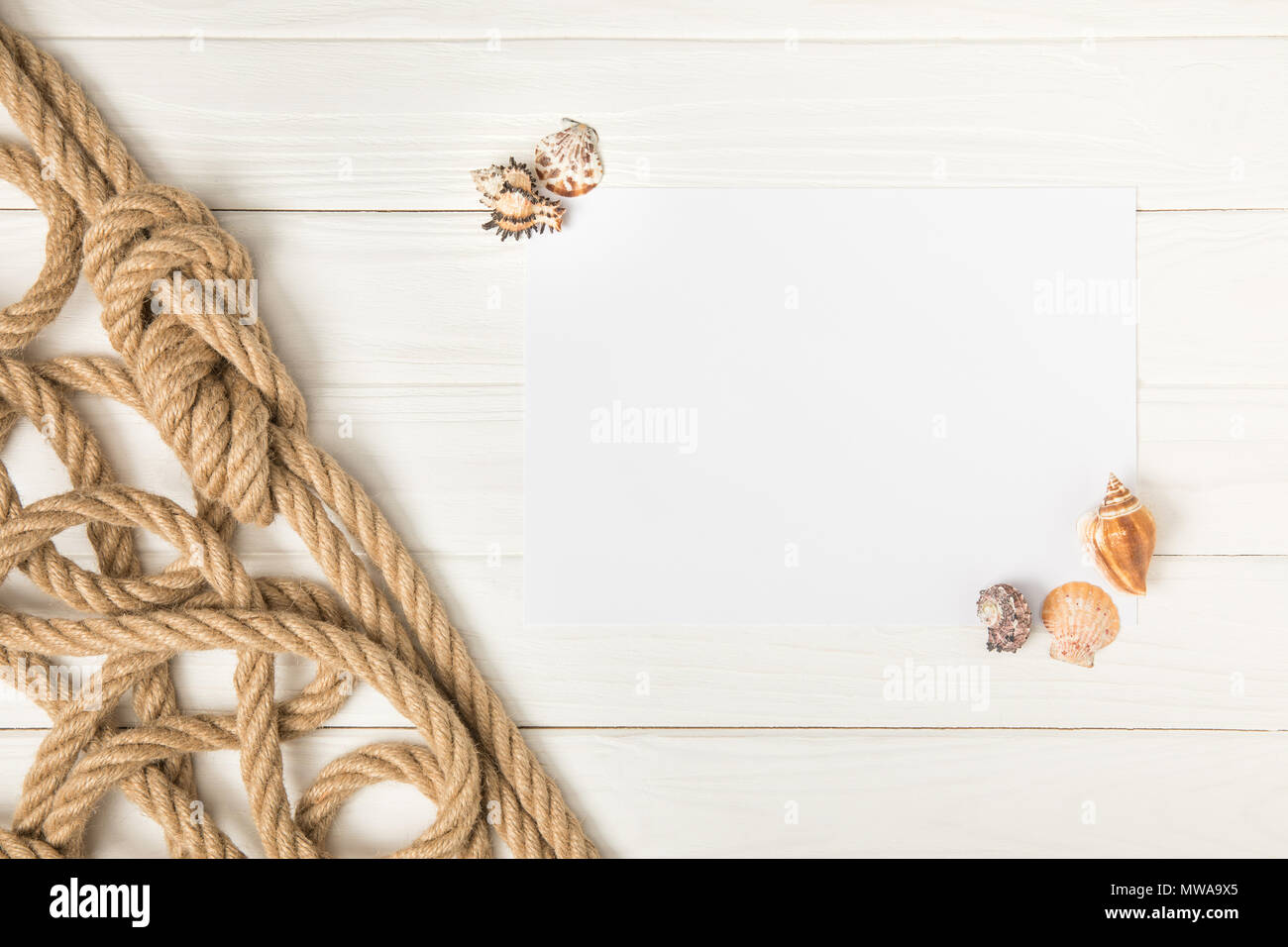 top view of brown nautical knotted rope and empty paper with seashells on white wooden surface Stock Photo