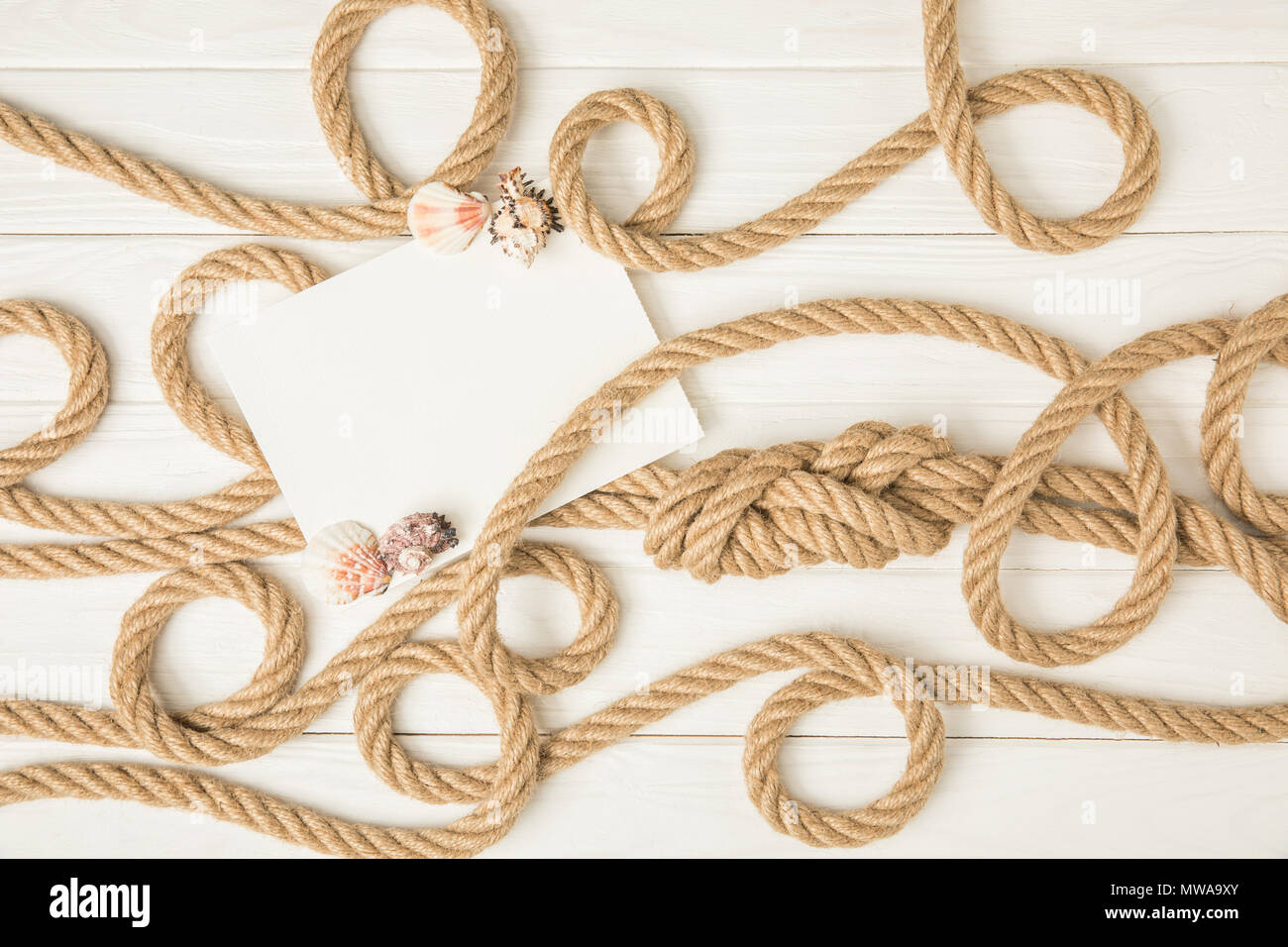 top view of empty paper with seashells on brown nautical knotted ropes on white wooden surface Stock Photo