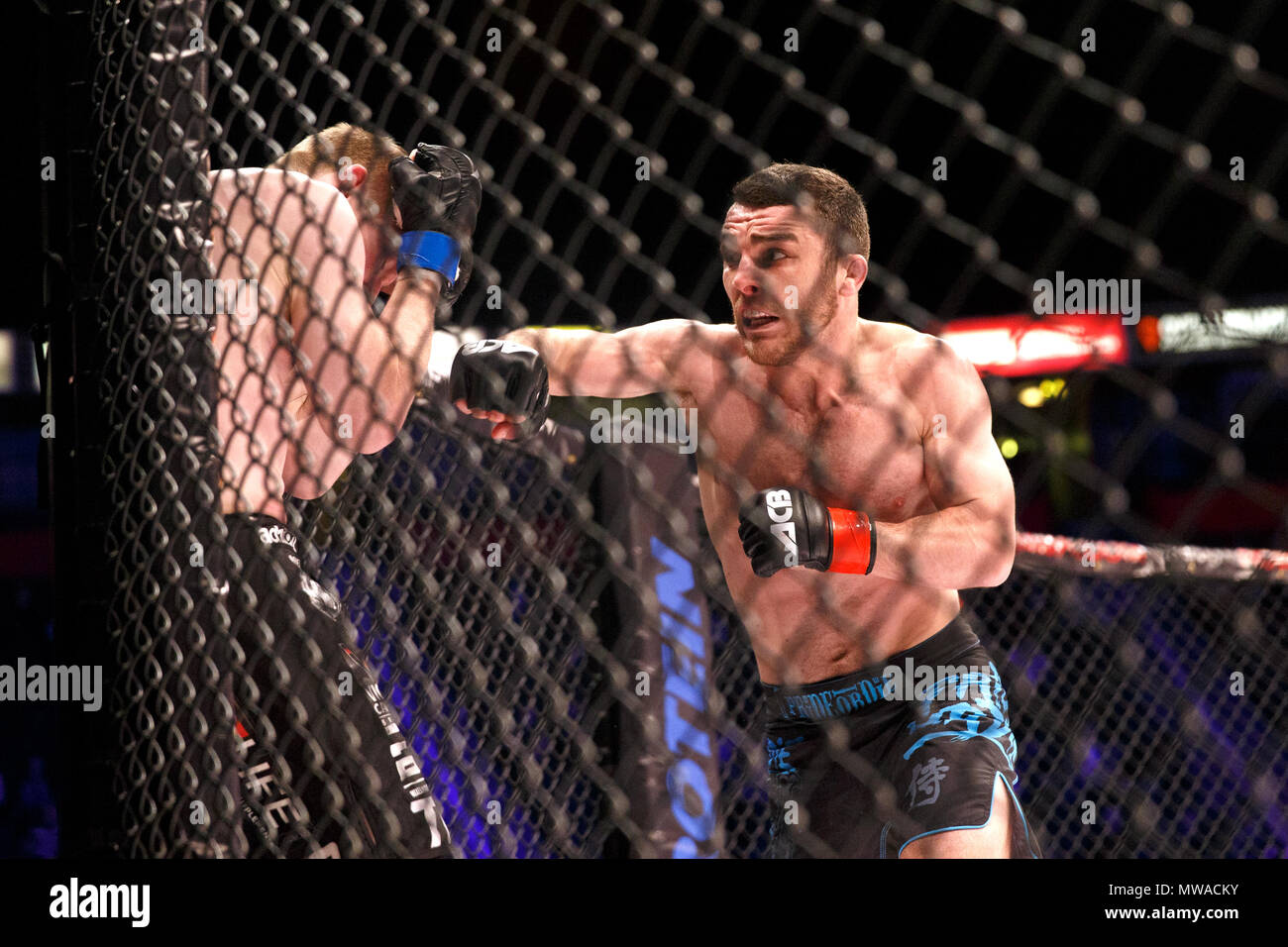 Dean Garnett (right) hits Michael Tobin with a punch against the cage at ACB 54 in Manchester, UK. Absolute Championship Berkut, Mixed Martial Arts, MMA fight. Stock Photo